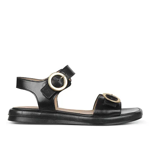 Angulus sandal