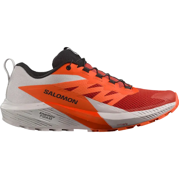 Salomon Sense Ride 5 Shoes (Men's) Clearance